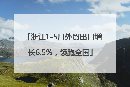 浙江1-5月外贸出口增长6.5%，领跑全国