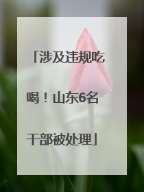 涉及违规吃喝！山东6名干部被处理
