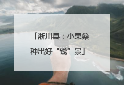 淅川县：小果桑种出好“钱”景