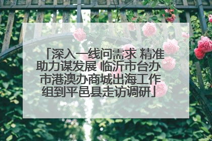 深入一线问需求 精准助力谋发展 临沂市台办 市港澳办商城出海工作组到平邑县走访调研