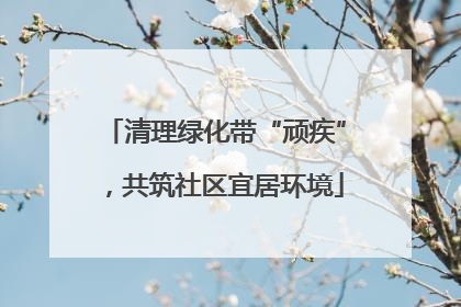 清理绿化带“顽疾”，共筑社区宜居环境