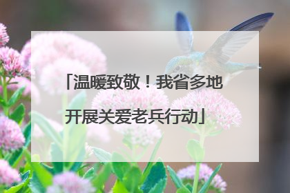 温暖致敬！我省多地开展关爱老兵行动