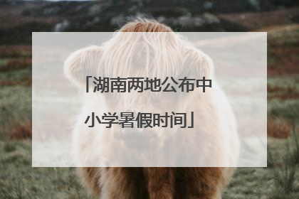 湖南两地公布中小学暑假时间