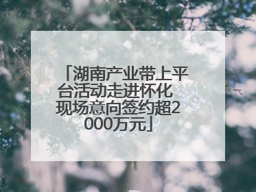 湖南产业带上平台活动走进怀化 现场意向签约超2000万元