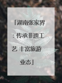 湖南张家界：传承非遗工艺 丰富旅游业态