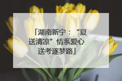 湖南新宁：“夏送清凉”情系爱心送考逐梦路