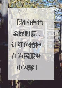 湖南有色金属职院：让红色精神在为民服务中闪耀