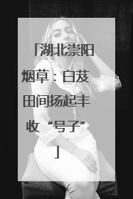 湖北崇阳烟草：白芨田间扬起丰收“号子”
