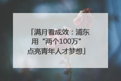 满月看成效：浦东用“两个100万”点亮青年人才梦想