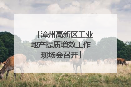 漳州高新区工业地产提质增效工作现场会召开