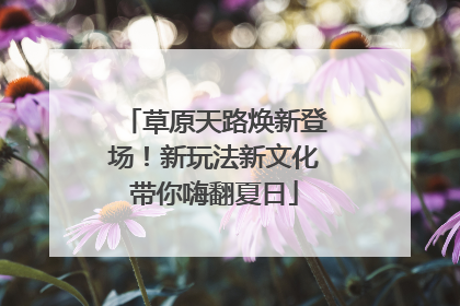 草原天路焕新登场！新玩法新文化带你嗨翻夏日