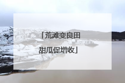 荒滩变良田 甜瓜促增收