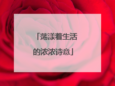 荡漾着生活的浓浓诗意