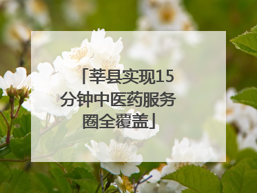 莘县实现15分钟中医药服务圈全覆盖