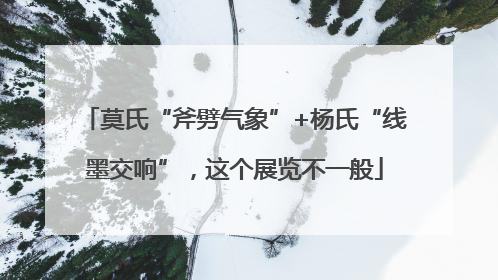 莫氏“斧劈气象”+杨氏“线墨交响”，这个展览不一般