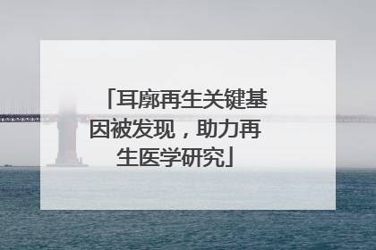耳廓再生关键基因被发现，助力再生医学研究