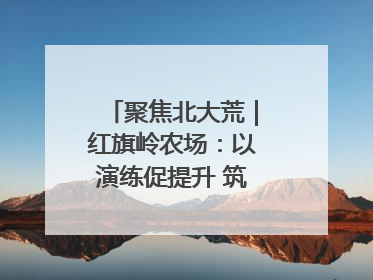 聚焦北大荒｜红旗岭农场：以演练促提升 筑牢平安基石