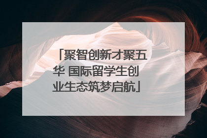 聚智创新才聚五华 国际留学生创业生态筑梦启航
