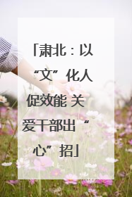 肃北：以“文”化人促效能 关爱干部出“心”招