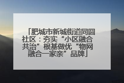 肥城市新城街道同圆社区：夯实“小区融合共治”根基做优“物网融合一家亲”品牌