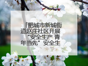 肥城市新城街道赵庄社区开展“安全生产 青年当先”安全生产月系列活动