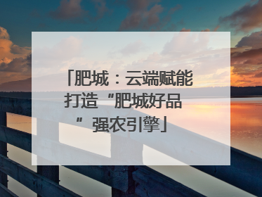 肥城：云端赋能 打造“肥城好品”强农引擎