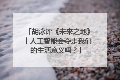 胡泳评《未来之地》︱人工智能会夺走我们的生活意义吗？