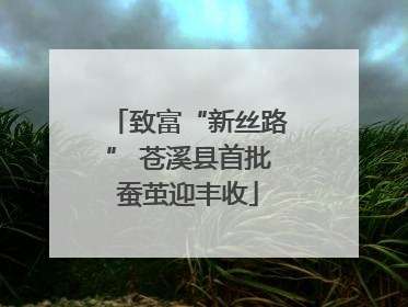致富“新丝路” 苍溪县首批蚕茧迎丰收