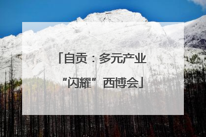 自贡：多元产业“闪耀”西博会