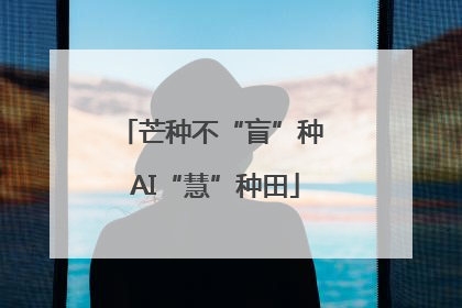 芒种不“盲”种 AI“慧”种田