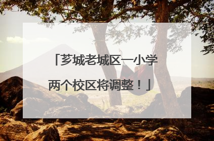 芗城老城区一小学两个校区将调整！