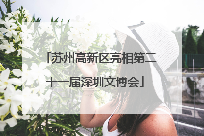 苏州高新区亮相第二十一届深圳文博会