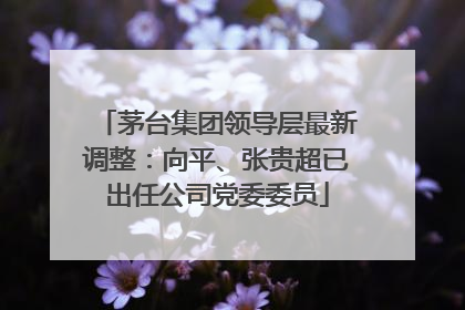 茅台集团领导层最新调整：向平、张贵超已出任公司党委委员