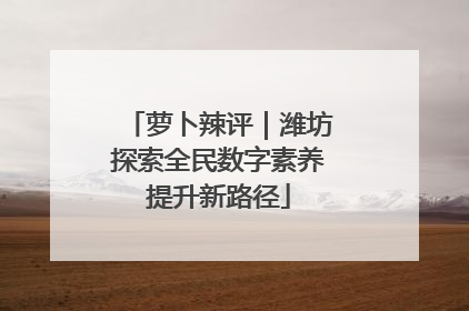 萝卜辣评｜潍坊探索全民数字素养提升新路径