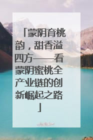 蒙阴育桃韵，甜香溢四方——看蒙阴蜜桃全产业链的创新崛起之路