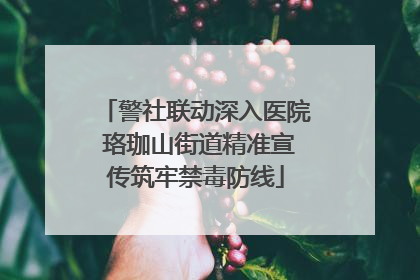 警社联动深入医院 珞珈山街道精准宣传筑牢禁毒防线