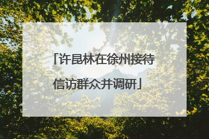许昆林在徐州接待信访群众并调研