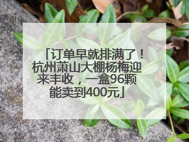 订单早就排满了！杭州萧山大棚杨梅迎来丰收，一盒96颗能卖到400元