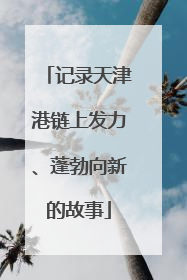 记录天津港链上发力、蓬勃向新的故事