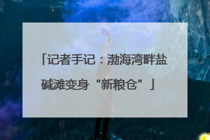 记者手记：渤海湾畔盐碱滩变身“新粮仓”