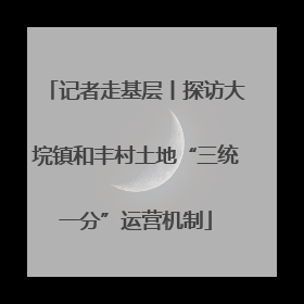 记者走基层丨探访大垸镇和丰村土地“三统一分”运营机制