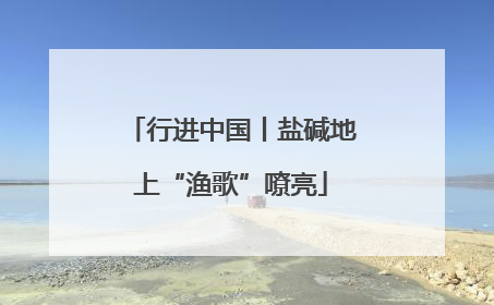 行进中国丨盐碱地上“渔歌”嘹亮