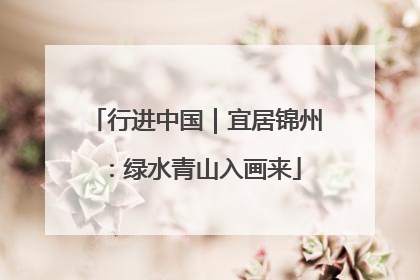 行进中国｜宜居锦州：绿水青山入画来