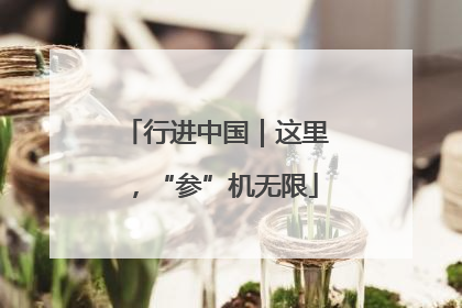 行进中国｜这里，“参”机无限