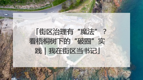 街区治理有“魔法”？看梧桐树下的“破圈”实践｜我在街区当书记
