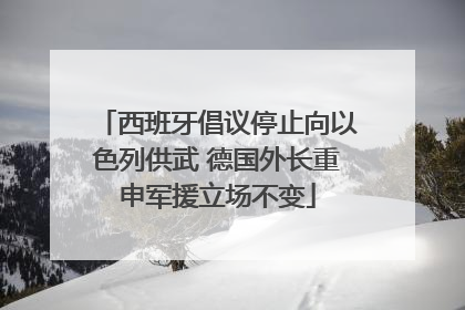 西班牙倡议停止向以色列供武 德国外长重申军援立场不变