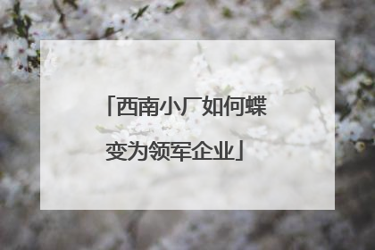 西南小厂如何蝶变为领军企业