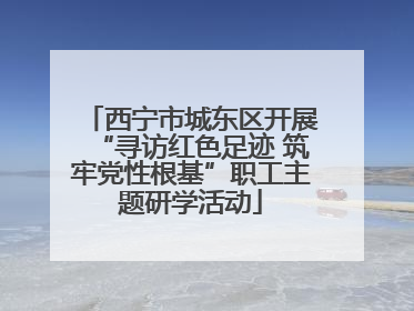 西宁市城东区开展“寻访红色足迹 筑牢党性根基”职工主题研学活动