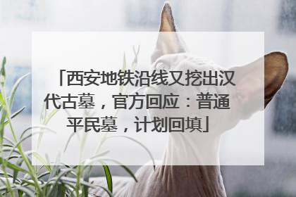 西安地铁沿线又挖出汉代古墓，官方回应：普通平民墓，计划回填
