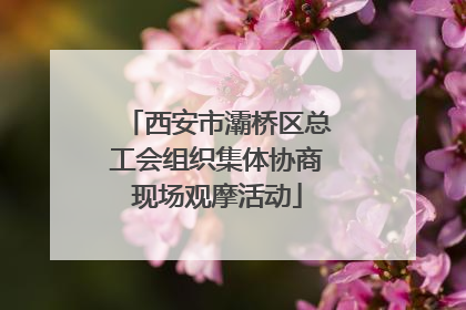 西安市灞桥区总工会组织集体协商现场观摩活动